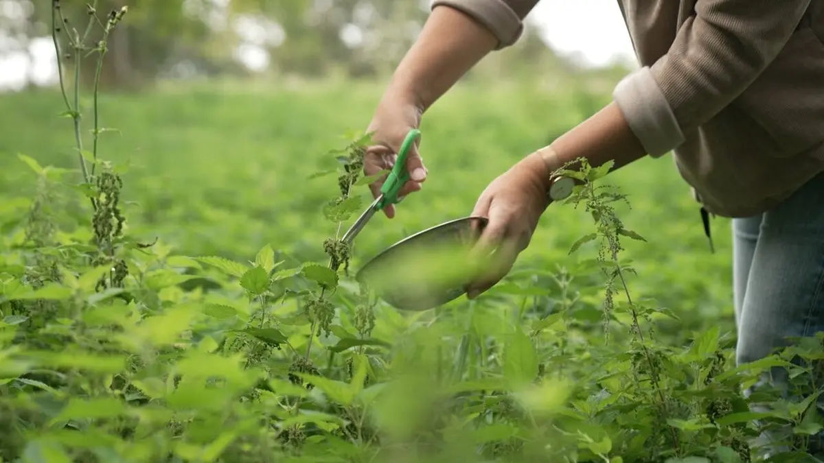 Maladies de l'hiver : comment renforcer nos défenses immunitaires ?