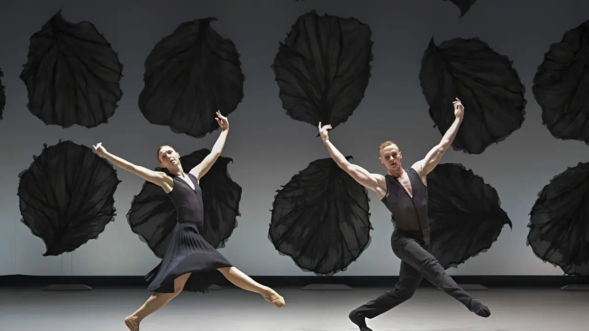 Malandain Ballet Biarritz à Versailles : Les Saisons