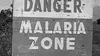 Malaria, l'arme secrète d'Hitler
