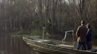 Du vaudou dans le bayou