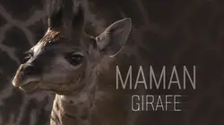 Maman Girafe