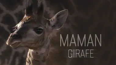 Maman Girafe