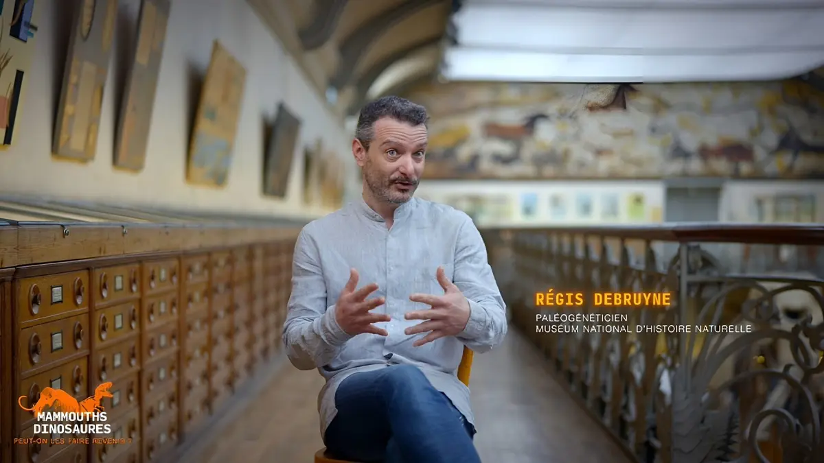 Mammouths, dinosaures : peut-on vraiment les faire revenir ?