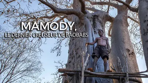 MAMODY le dernier creuseur de baobabs