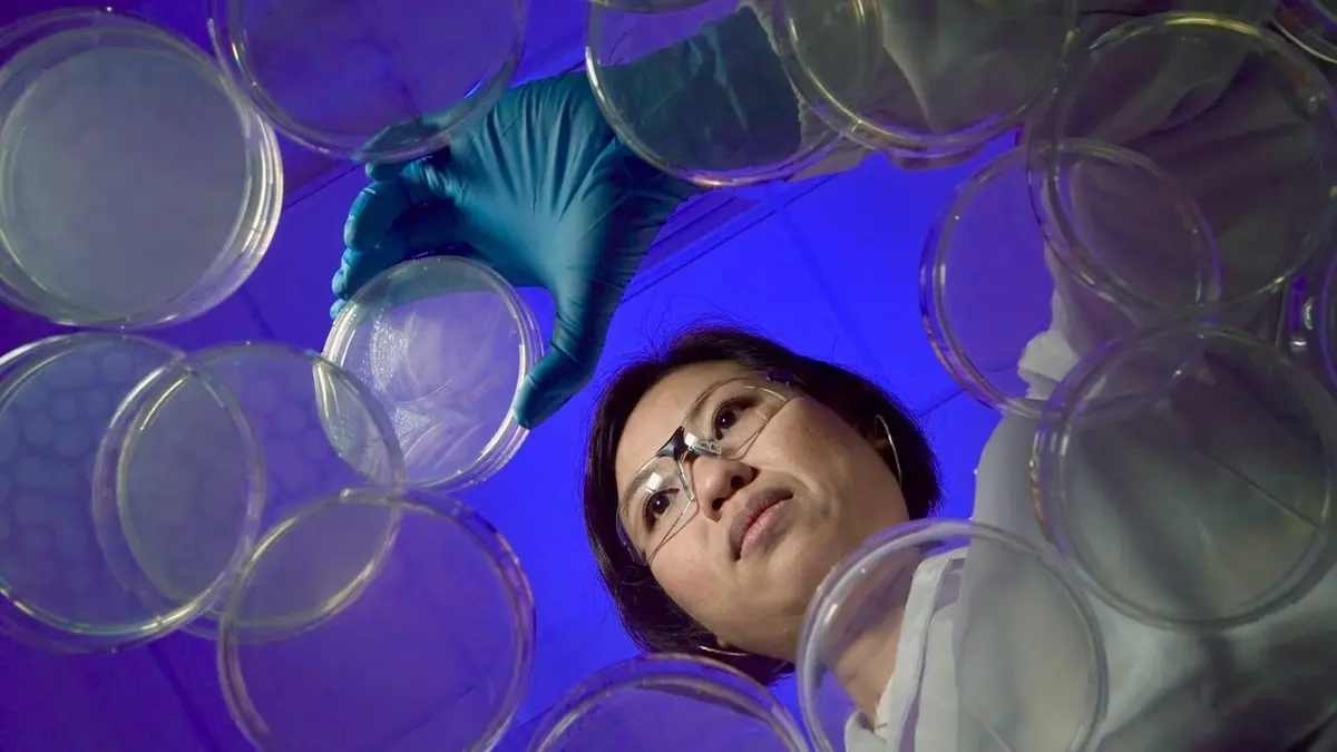 Visuel de Man 2.0 R-evolution Homo Digitalis