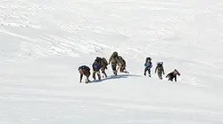Visuel de Man vs Alaska