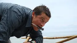 Man vs Wild : seul face à la nature Fans face à la nature en streaming