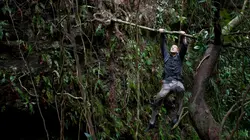 Man vs Wild : seul face à la nature Chine en streaming