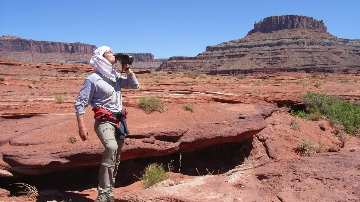 Man vs Wild : seul face à la nature Survie en milieu urbain
