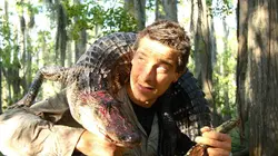 Visuel de Man vs Wild : seul face à la nature