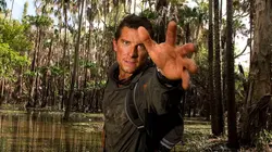 Visuel de Man vs Wild : seul face à la nature
