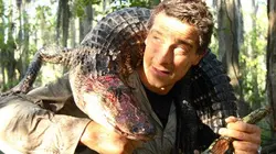 Seul face à la nature S01E10 Les Everglades