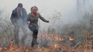 Rencontre avec un ours