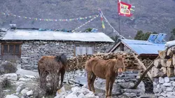 Manaslu