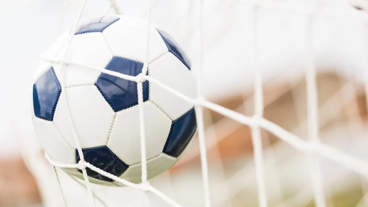 Manchester United / Newcastle Football Premier League 2020/2021