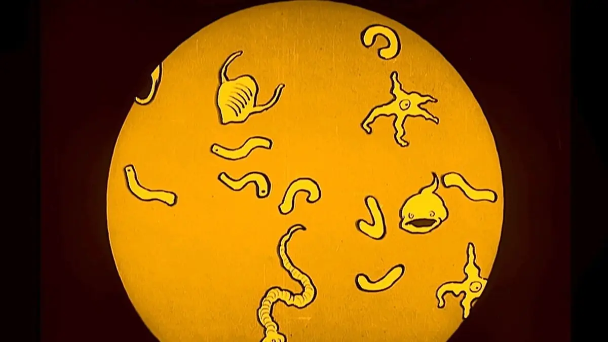 Mange ta soupe ! Faut pas gâcher !