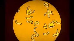 Mange ta soupe ! Faut pas gâcher !