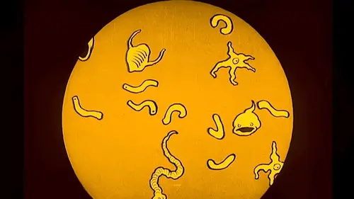 Mange ta soupe ! Faut pas gâcher !