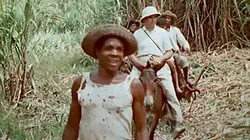 Mange ta soupe ! Douceurs amères