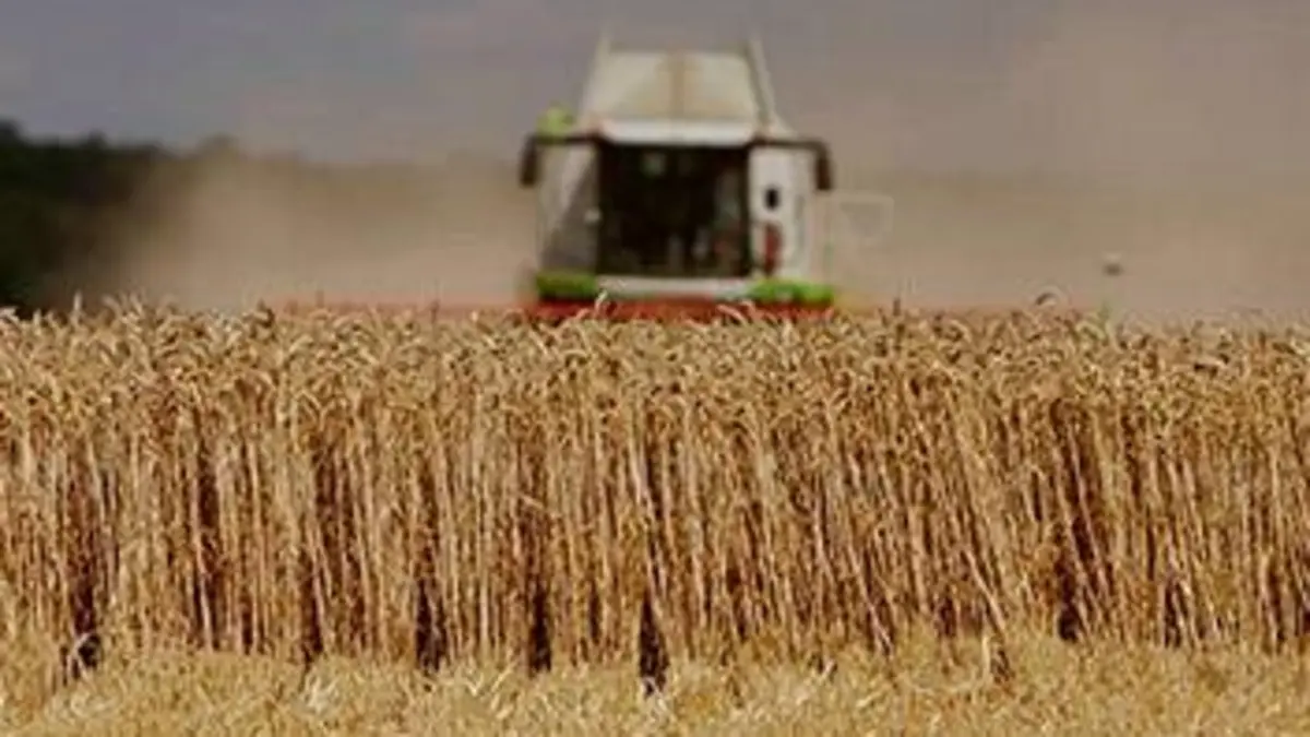 Manger plus pour se nourrir moins