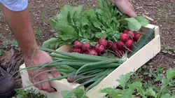 Manger pour aller mieux