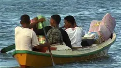 Visuel de Mangsee dynamite