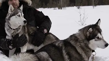 Manimal E05 Entre chiens et loups