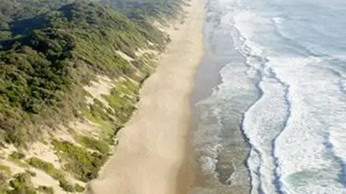 Maputaland, la côte des prédateurs
