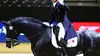 Marc Boblet, une nouvelle vision du dressage