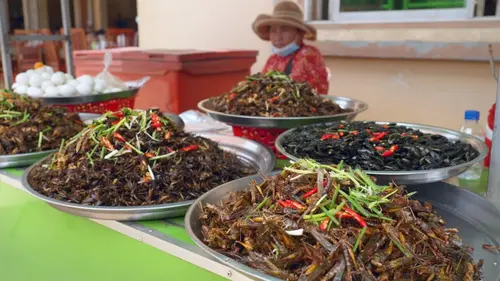 Marchés du monde Cambodge, le marché aux insectes