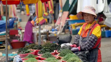 Corée du Sud, le marché aux poissons