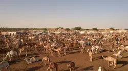 Marchés du monde