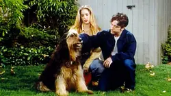 Mariés, deux enfants S08E24 Al les bons tuyaux