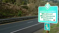 Marijuana: la ruée vers l'or vert