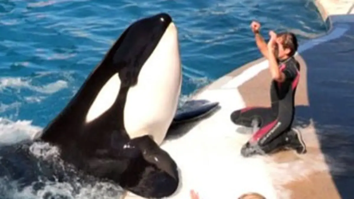 Marineland, tout un monde