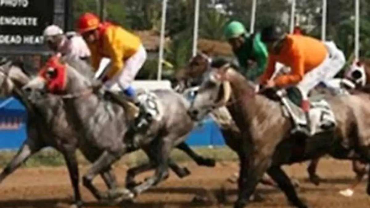 Maroc : l'ambition hippique