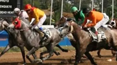 Maroc : l'ambition hippique