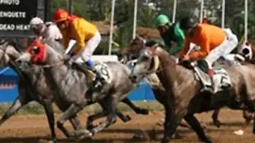 Maroc : l'ambition hippique