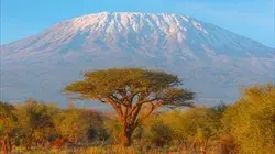 Martin autour du monde S03E02 Tanzanie