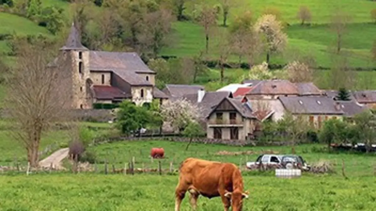 Martin Guerre, le retour au village