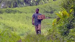 Visuel de Martinique, sur la route de la Trace