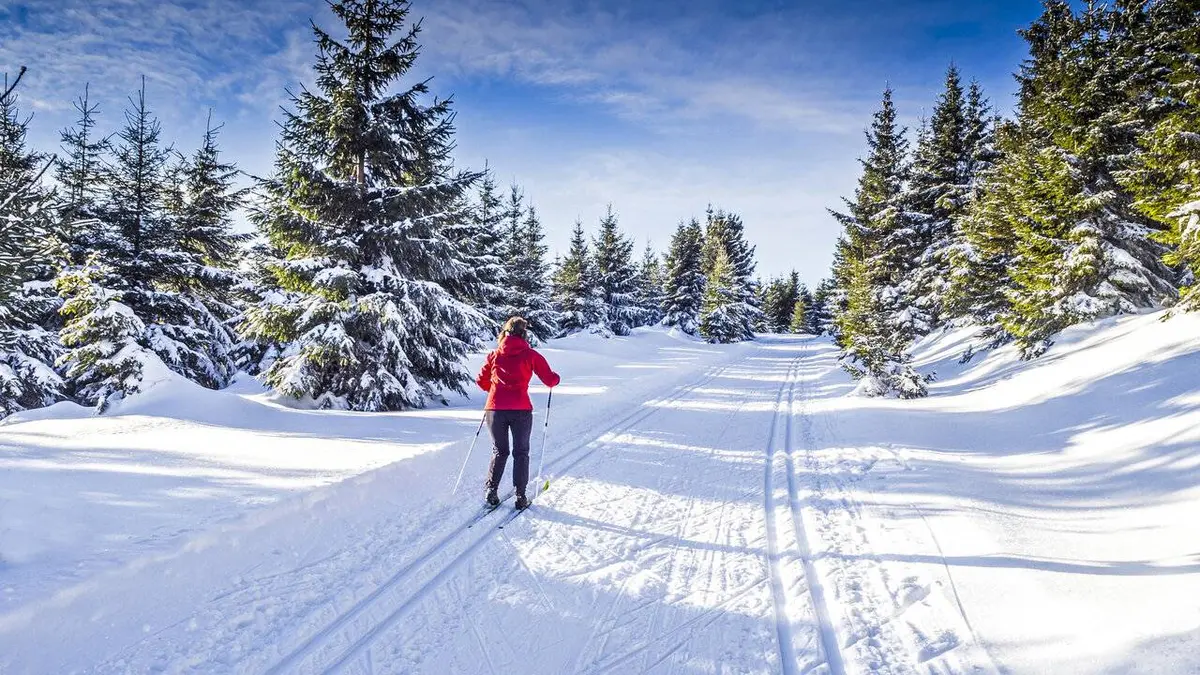 Mass Start 20 km classique dames Ski de fond Coupe du monde 2022/2023