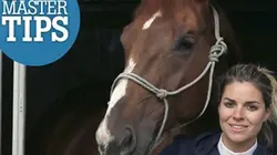 Visuel de Mastertips