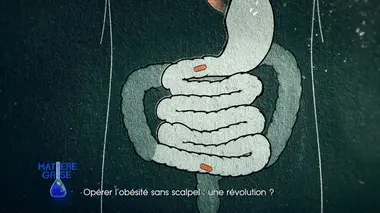 Les chiens sont-ils bons pour la santé des bébés ?