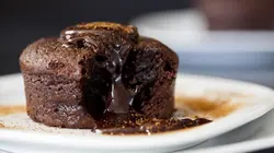 Matière grise Les secrets révélés du chocolat