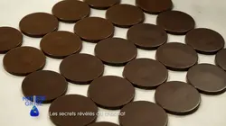 Matière grise Les secrets révélés du chocolat