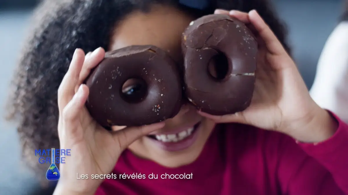 Matière grise Les secrets révélés du chocolat