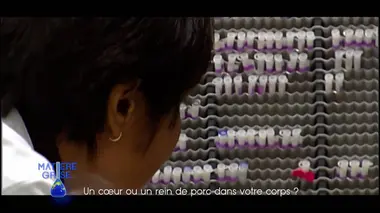 Un coeur ou un rein de porc dans votre corps ?