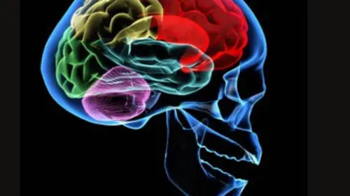 Matière grise Le monde secret de la douleur