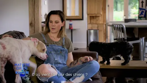 Matière grise D'où vient l'amour des chiens ?